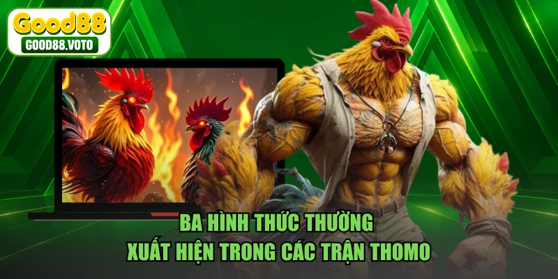 Ba hình thức thường xuất hiện trong các trận Thomo