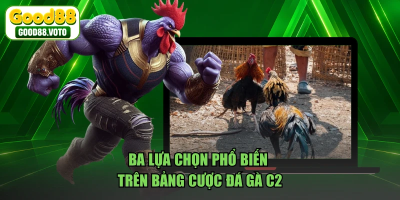 Ba lựa chọn phổ biến trên bảng cược đá gà C2