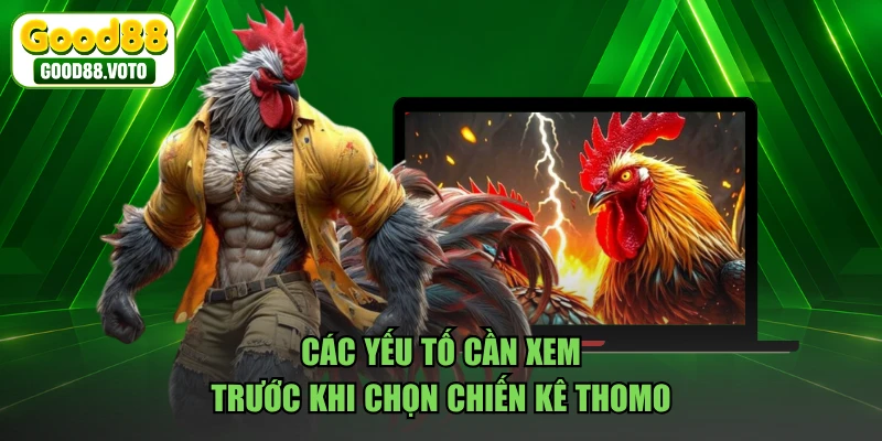 Các yếu tố cần xem trước khi chọn chiến kê Thomo