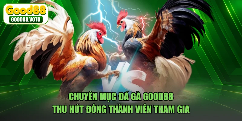 Chuyên mục đá gà GOOD88 thu hút đông thành viên tham gia