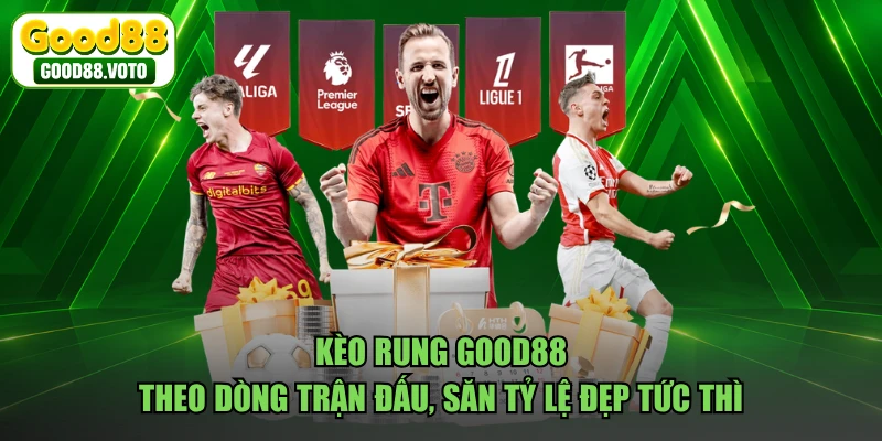 Kèo Rung GOOD88 - Theo Dòng Trận Đấu, Săn Tỷ Lệ Đẹp Tức Thì