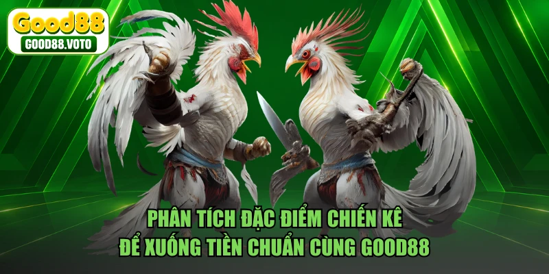 Phân tích đặc điểm chiến kê để xuống tiền chuẩn cùng GOOD88
