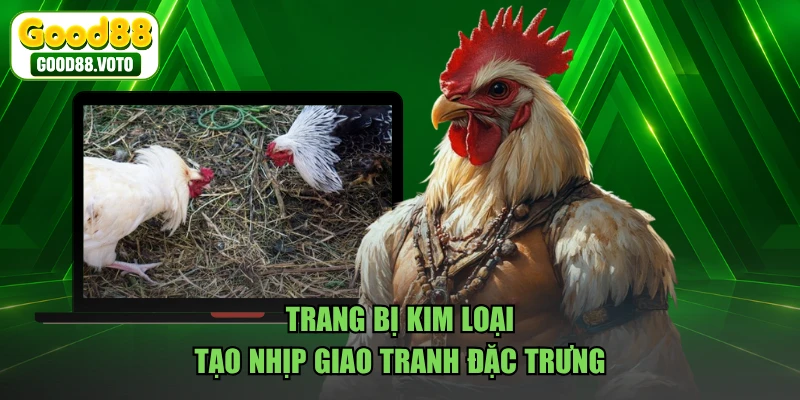 Trang bị kim loại tạo nhịp giao tranh đặc trưng