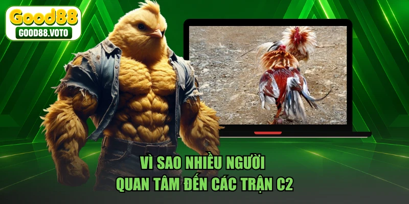 Vì sao nhiều người quan tâm đến các trận C2
